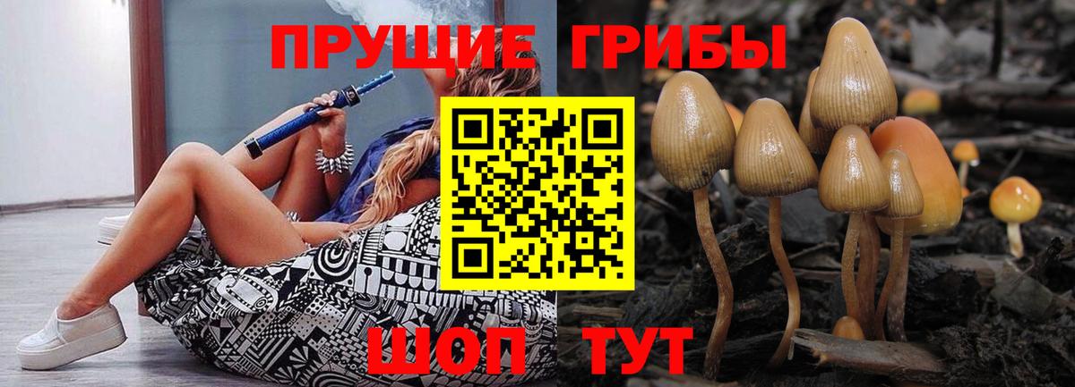 Псилоцибиновые грибы мицелий  Вход с VPN  Гусев  Псилоцибиновые грибы Psilocybine cubensis 